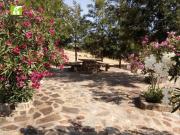 Top Farelos de Baixo