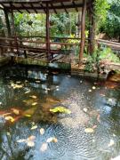 Top Jose Maria Morelos Top Jose Maria Morelos