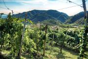 Top Valdobbiadene