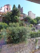 Top Ameglia Top Ameglia