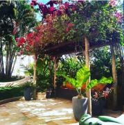 Top Caldas Novas
