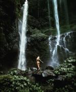 Munduk Kupang Sekumpul Villa