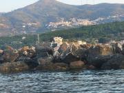 Top Votsalákia Top Votsalákia