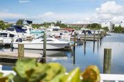 Top Sarasota