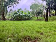 Top Kalyan Top Kalyan