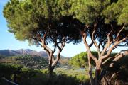 Appartamento Il Mandorlo Appartamento Il Mandorlo