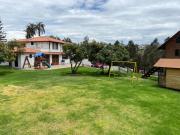 Top Ambato