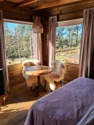 Top São Francisco de Paula