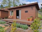 Top São Francisco de Paula