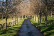 Top North Berwick