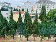 Khách sạn Xuân Quỳnh