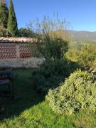 Top Cetona