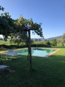 Top Cetona