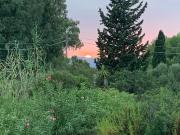 Top SantʼAnna Arresi