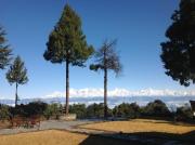 Top Almora