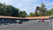 Top Willits