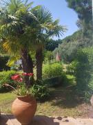 Top Vielle-Saint-Girons