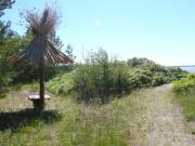 Top PƤrispea Top PƤrispea