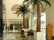 Top Noida