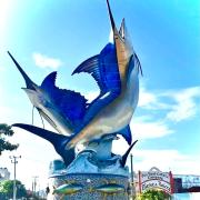 Top Barra de Navidad