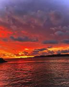 Top Barra de Navidad