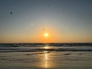 Excelsior Apartaments Mamaia Nord Excelsior Apartaments Mamaia Nord