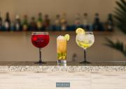 Top Mortágua Top Mortágua