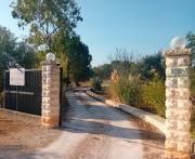 Top Cisternino