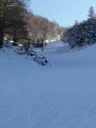Top Rousset