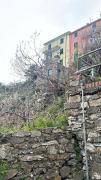 Top Corniglia