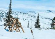 Red-tail Roundhouse at 22 West Cabins and Recreation