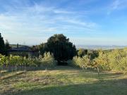 Top San Gimignano