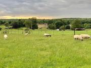 Top Oakham Top Oakham