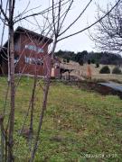 Top Pucón Top Pucón