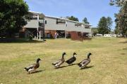 Top Narrabeen