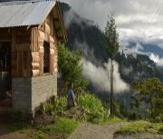 Top Kumai