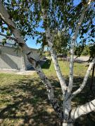 Apartments Airport Golubovci