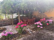 Top Cuenco Top Cuenco