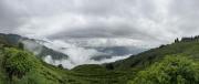 Top Darjeeling