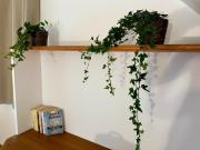 Top Saint Laurent Nouan