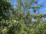 Top Beilen Top Beilen