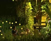 Top Ubud