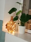 Top Clermont-Ferrand