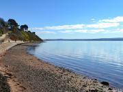 Top Fortrose