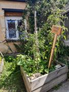 Top Nogent-le-Rotrou