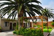 The Mole Guesthouse