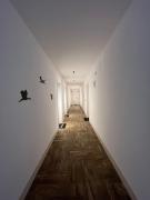 Top Biała Podlaska Top Biała Podlaska