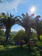 Top Tarapoto