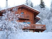 Chalet familial avec cheminée à La Plagne, proche station - FR-1-755-7