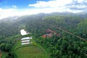 Top Sakleshpur